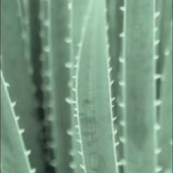 Hi! I’m Ann. Thank you for visiting my closet! - Picture 5 of 7